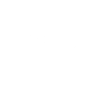 FST-matrix-logo-white